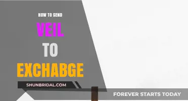 How to Safely Send Veil to Exchange: A Step-by-Step Guide