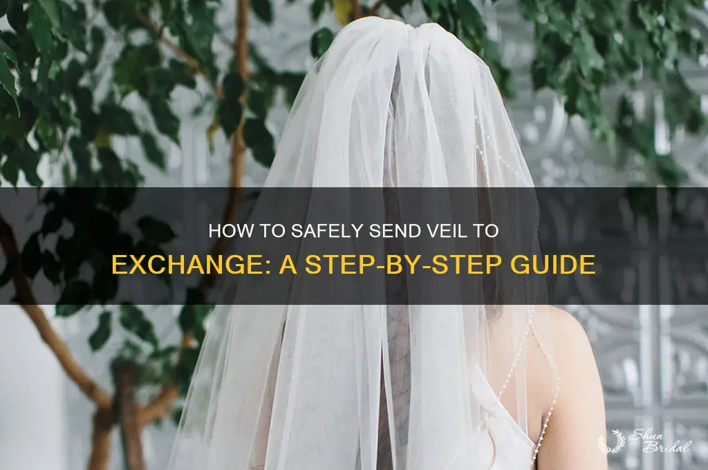 how to send veil to exchabge