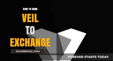 How to Safely Transfer Veil Tokens to Cryptocurrency Exchanges