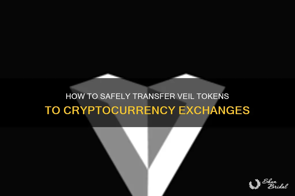how to send veil to exchange