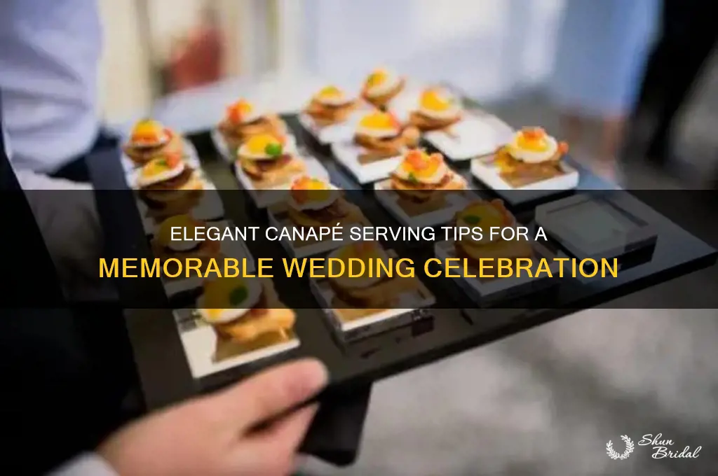 how to serve canapes at a wedding