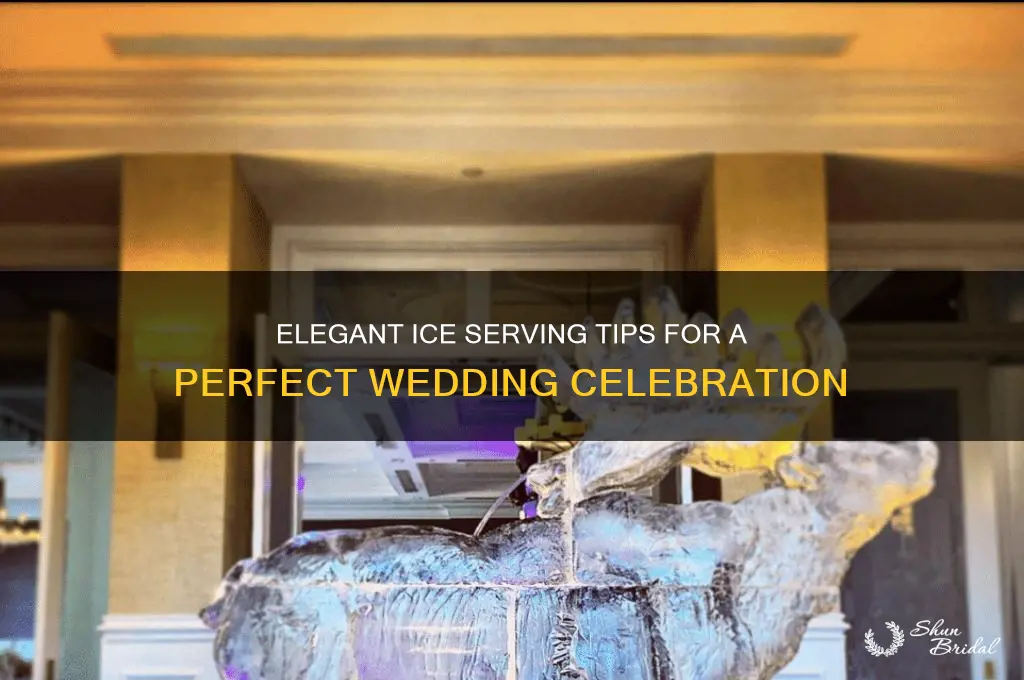 how to serve ice at a wedding