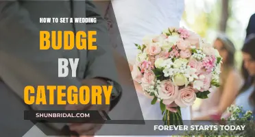 Smart Wedding Budgeting: Allocate Funds by Category Effortlessly