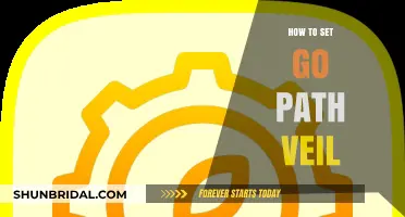 Mastering Go: A Step-by-Step Guide to Setting Your GOPATH Veil