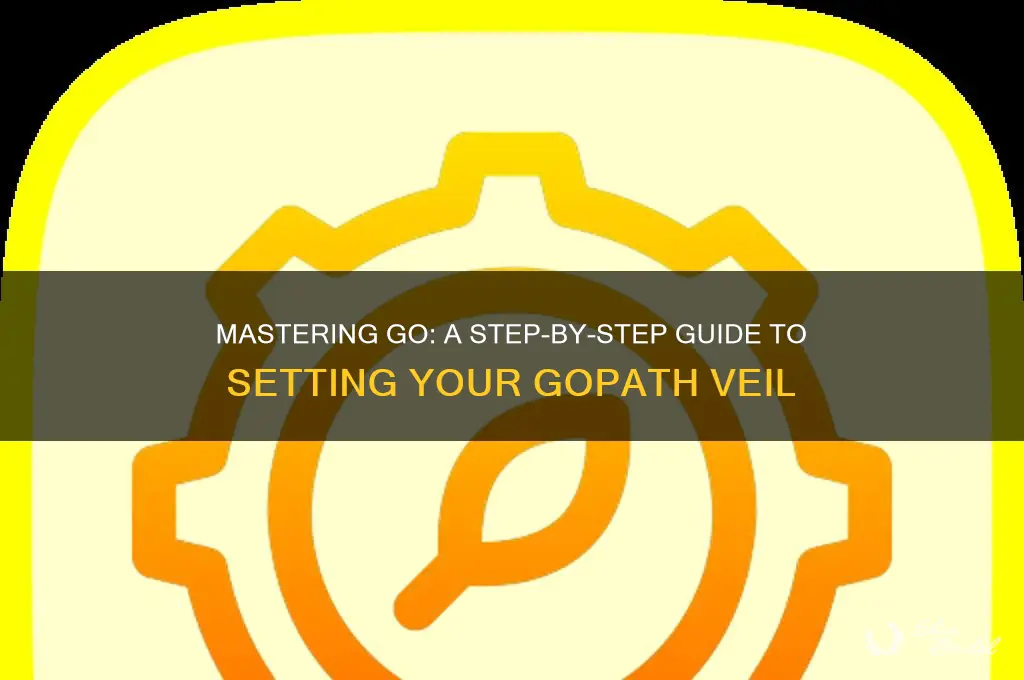 how to set go path veil