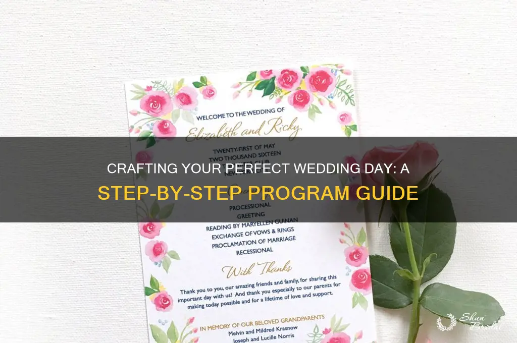how to set the program for the wedding day