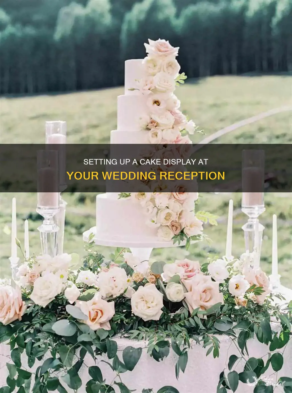 how to set up a cake a wedding reception