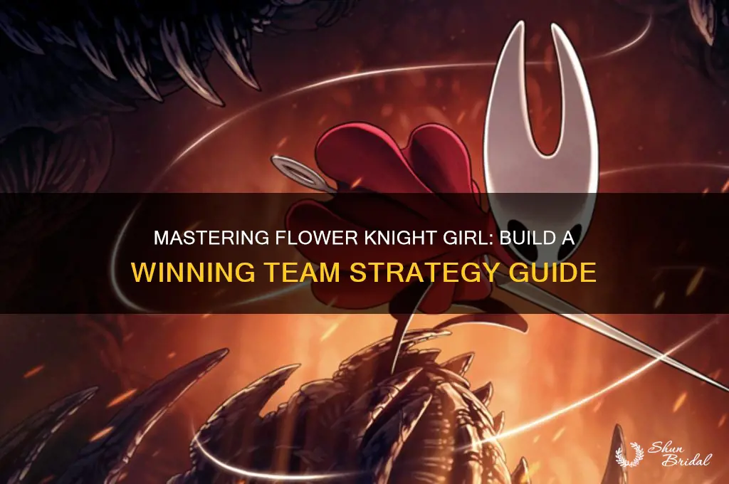 how to set up a good flower knight girl team