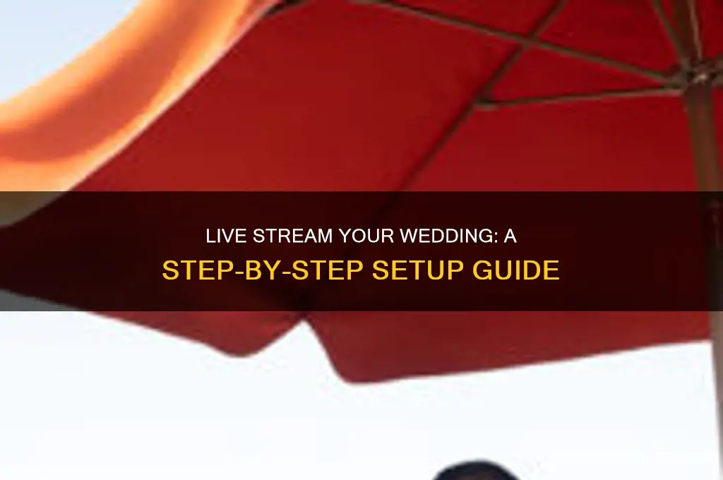 how to set up a live stream for a wedding