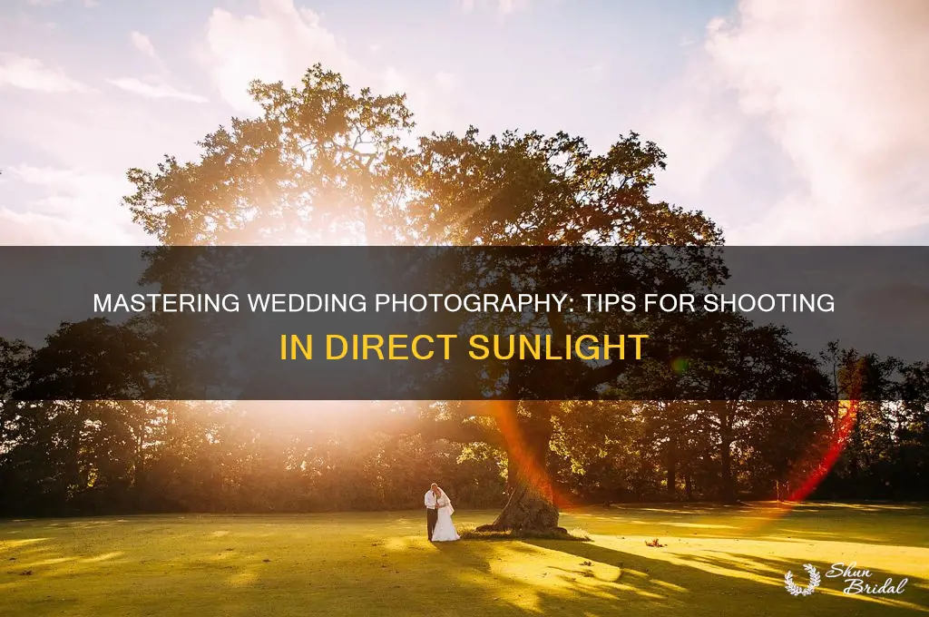 how to shoot a wedding in direct sunlight