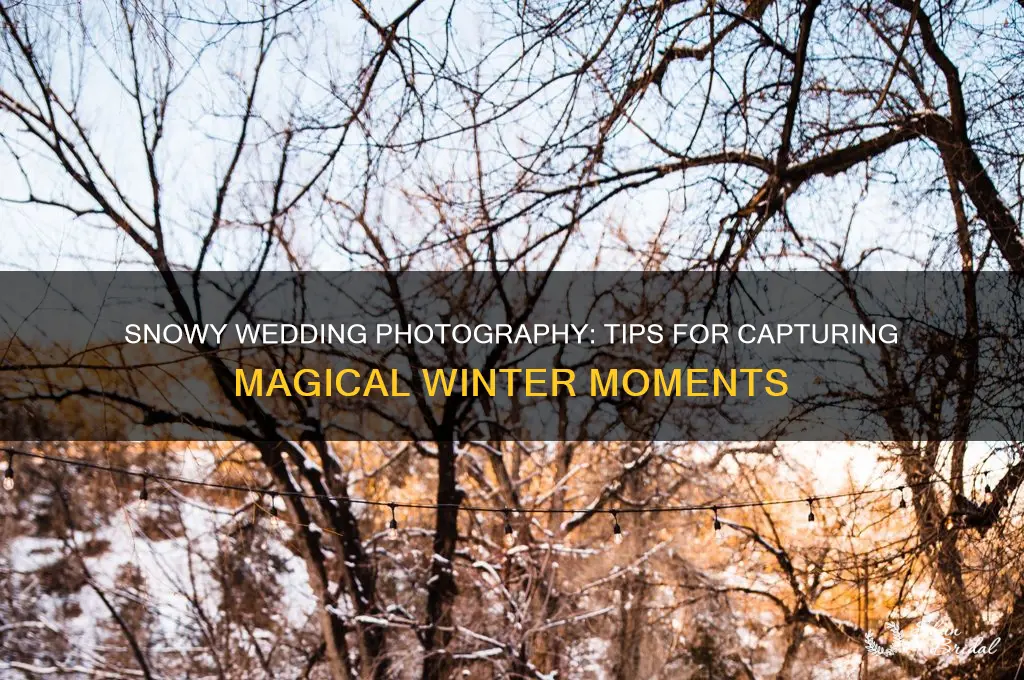 how to shoot a wedding in the snow