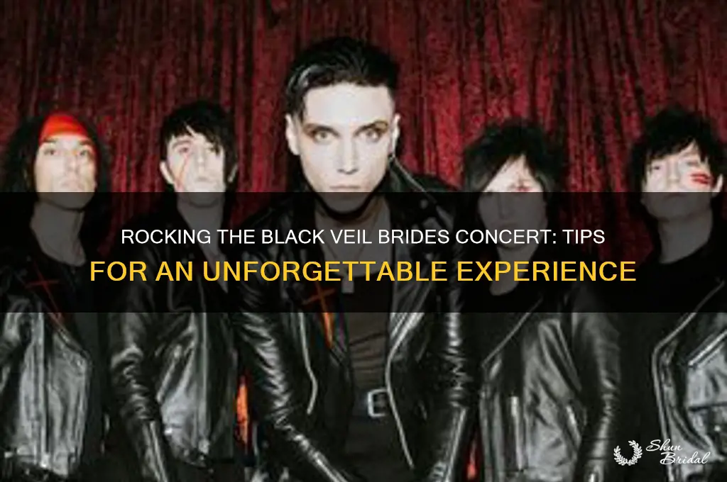 how to show up to a black veil brides concert