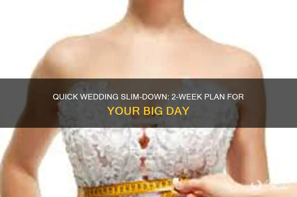 how to slim down 2 weeks before wedding
