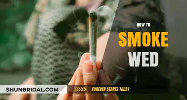Mastering the Art of Smoking Weed: Tips and Techniques for Beginners