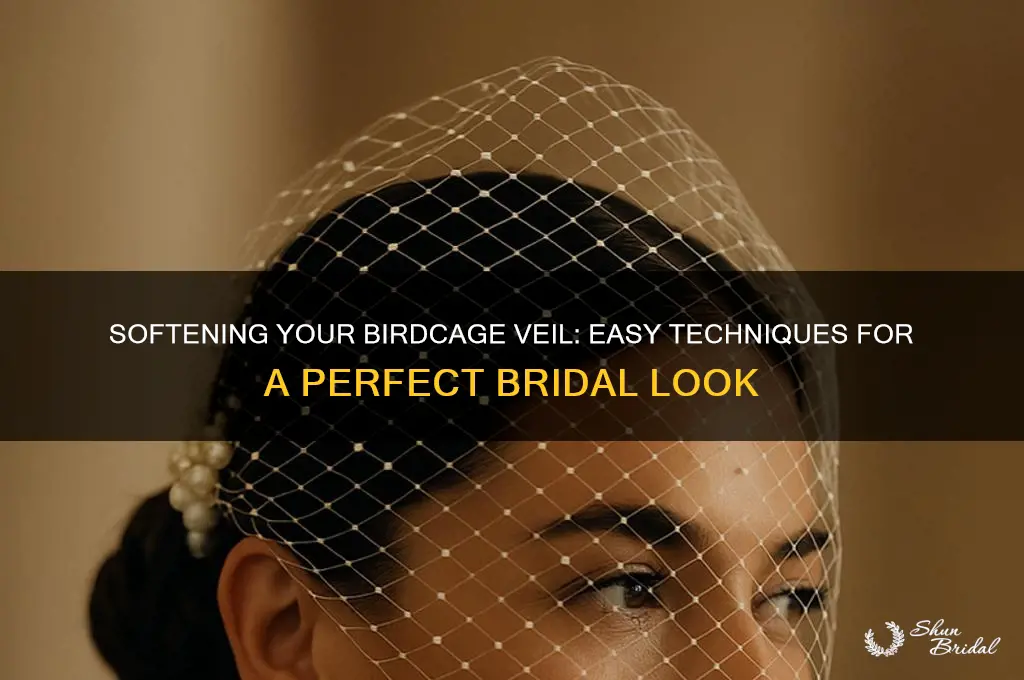 how to soften a birdcage veil