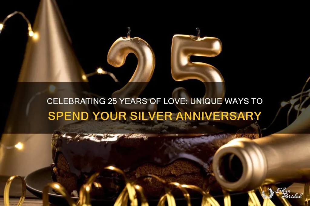 how to spend 25th wedding aniversary