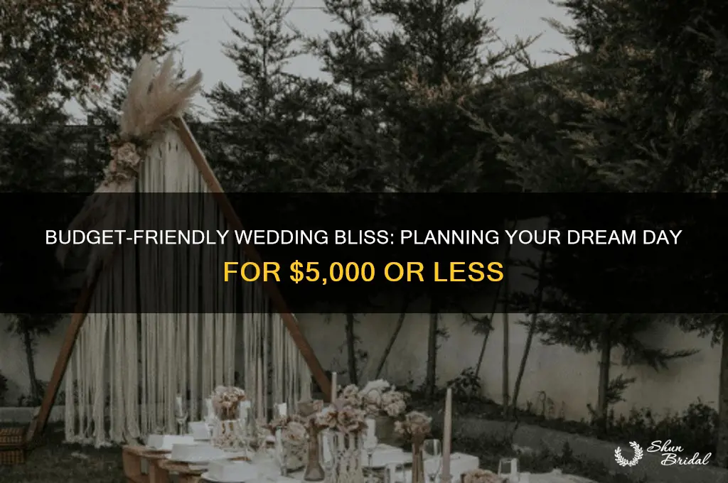 how to spend 5000 or less on a wedding