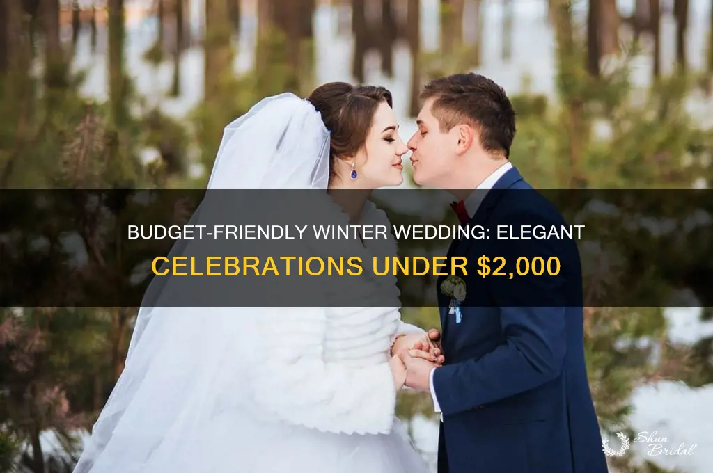 how to spend less than 2000 on a winter wedding