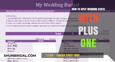 Splitting Wedding Costs Fairly: A Guide for Plus One Guests