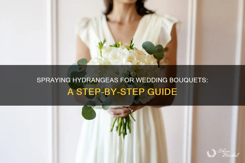how to spray hydrangea for use in wedding bouquetsbouquets
