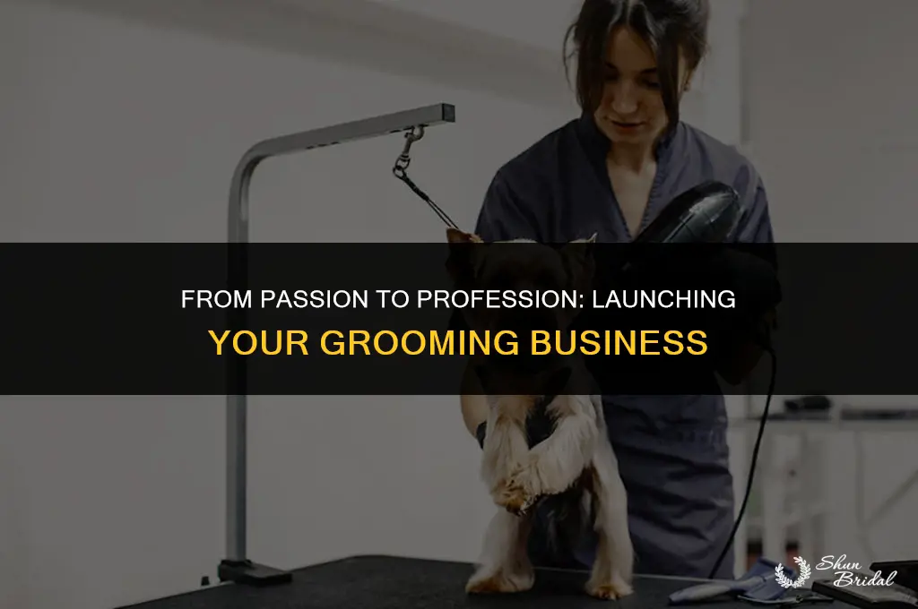 how to start a grooming business