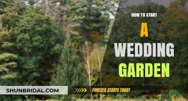 Creating Your Dream Wedding Garden: A Step-by-Step Beginner's Guide