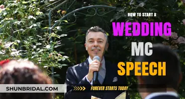 Mastering the Mic: Crafting the Perfect Wedding MC Speech