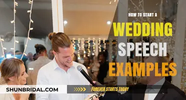 Crafting the Perfect Wedding Speech: Tips, Examples, and Inspiration
