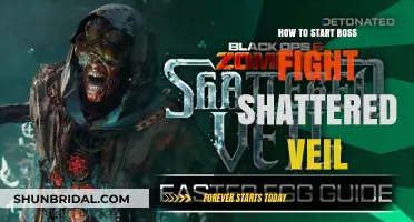 Mastering the Shattered Veil Boss Fight: Essential Tips to Begin