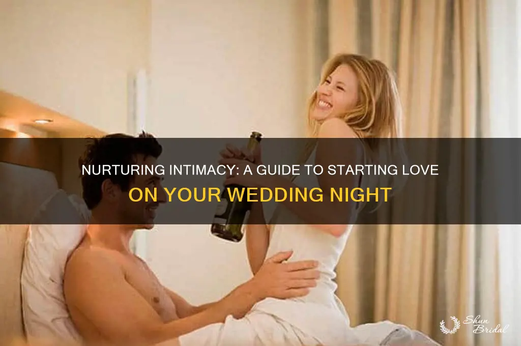 how to start love on wedding night