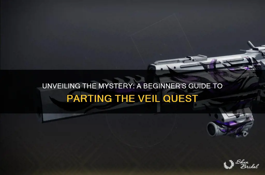 how to start parting the veil quest