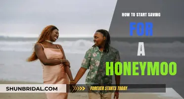 Smart Honeymoon Savings: Tips to Begin Planning Your Dream Getaway