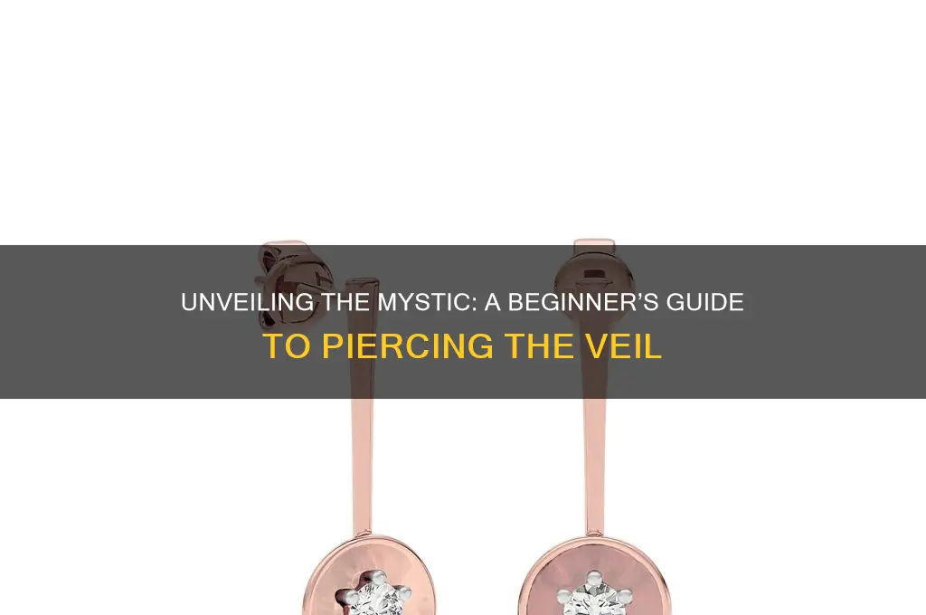 how to start seeing into the veil
