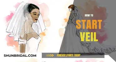 Beginner's Guide to Starting Veil: Tips, Tools, and Techniques