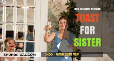 Perfect Wedding Toast for Your Sister: Tips to Begin with Heartfelt Words