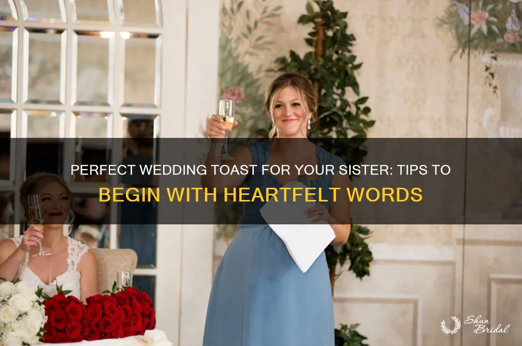 how to start wedding toast for sister