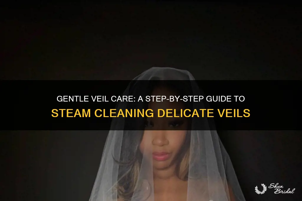 how to steam clean a veil