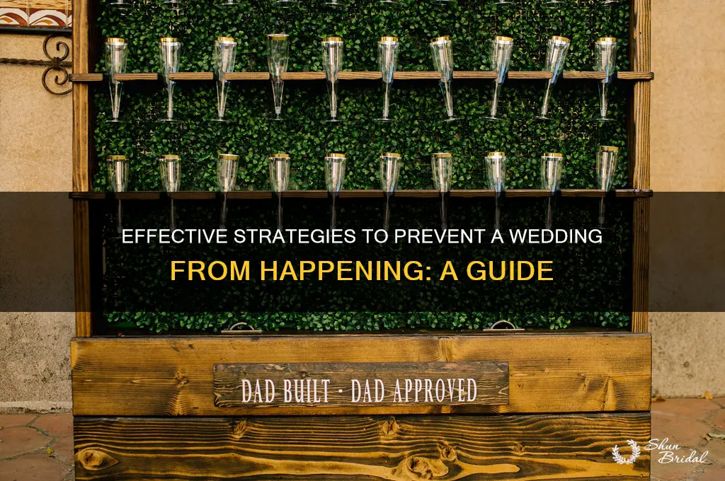 how to stop a wedding izle