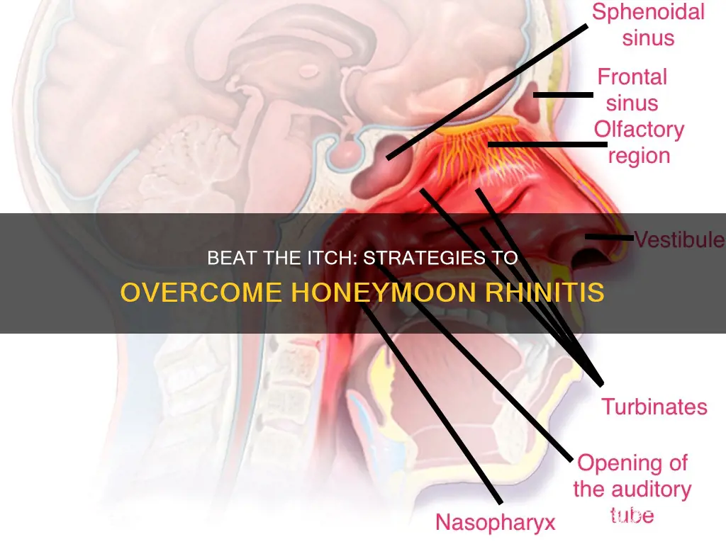 how to stop honeymoon rhinitis