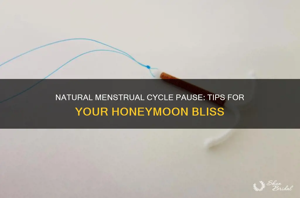 how to stop my menstrual cycle for my honeymoon