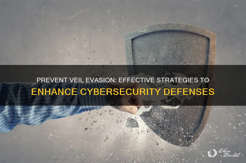 how to stop veil evasion