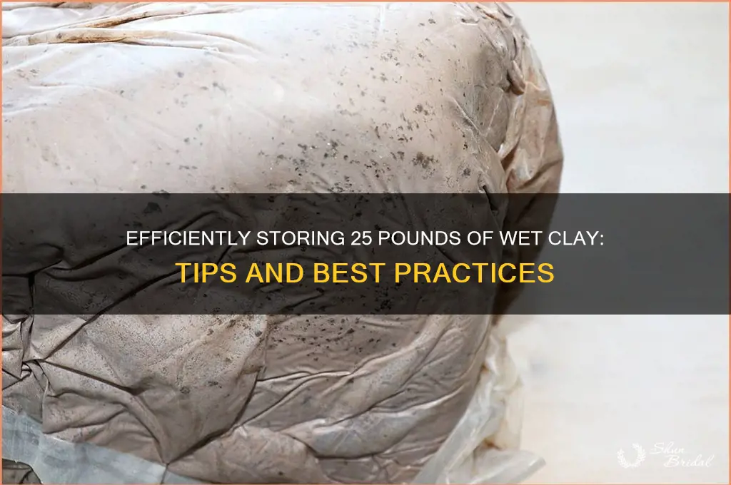 how to store 25 pounds of wed clay