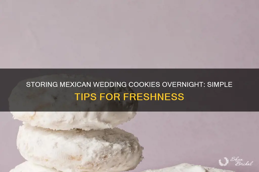 how to store mexican wedding cookies overnight