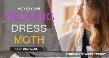 Preserving Your Wedding Dress: Keeping Moths Away