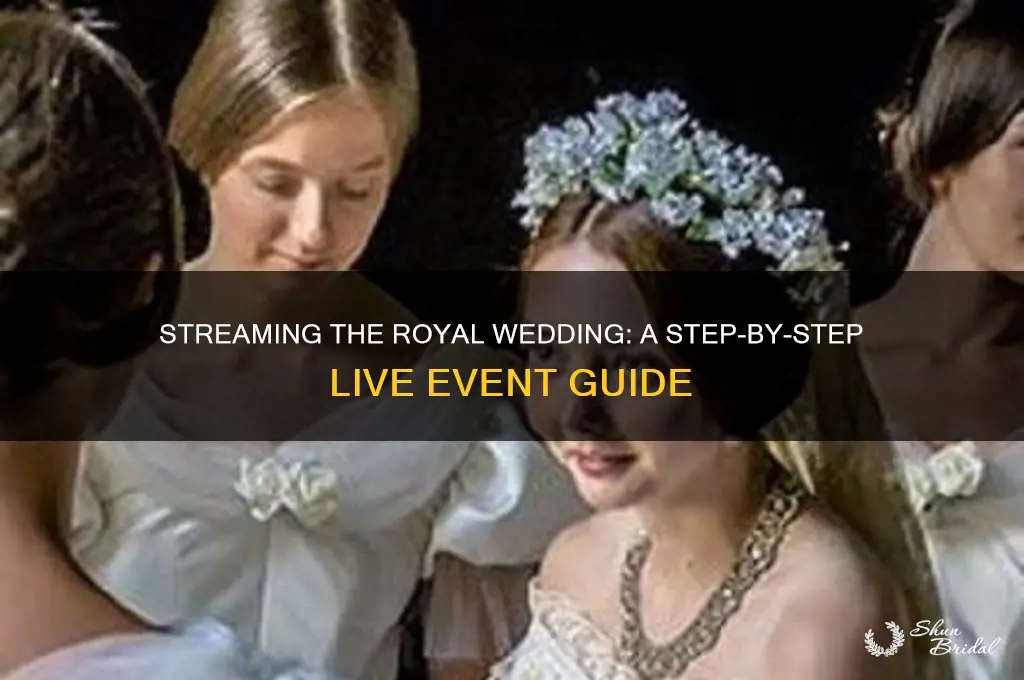 how to stream a live event roial wedding