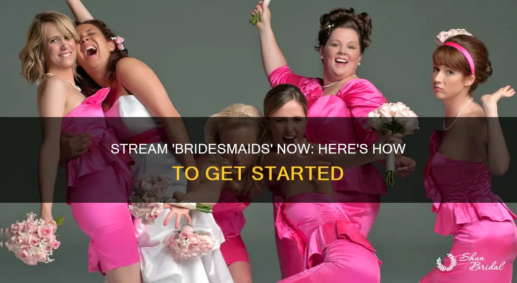 how to stream bridesmaids