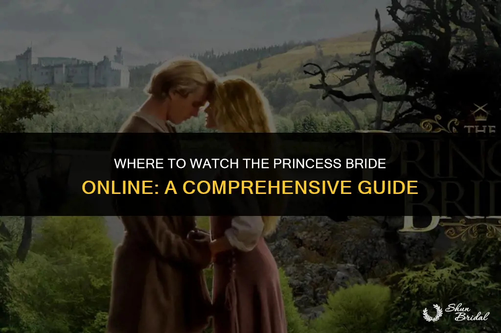how to stream princess bride
