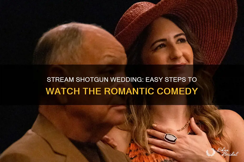 how to stream shotgun wedding
