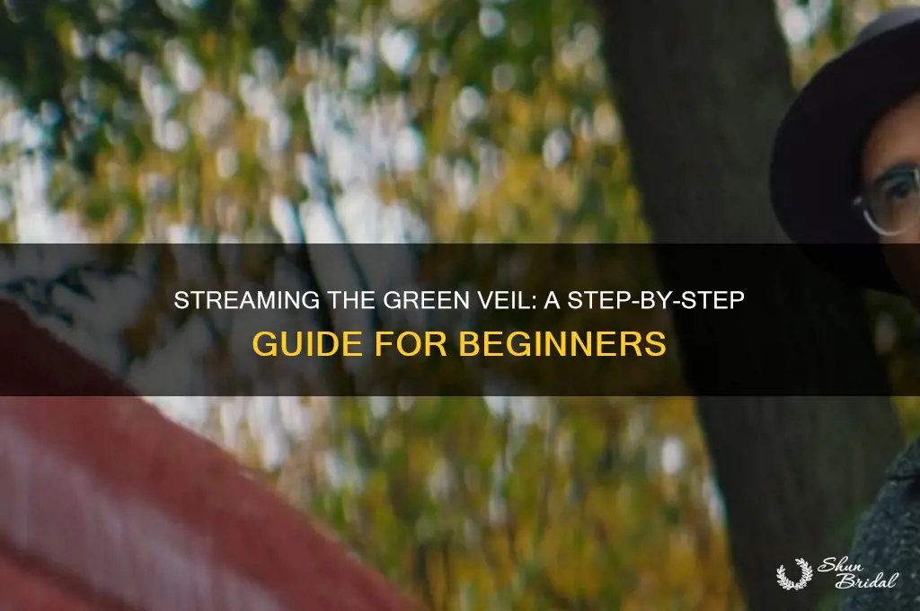 how to stream the green veil