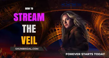 Mastering The Veil Streaming: A Step-by-Step Guide for Beginners